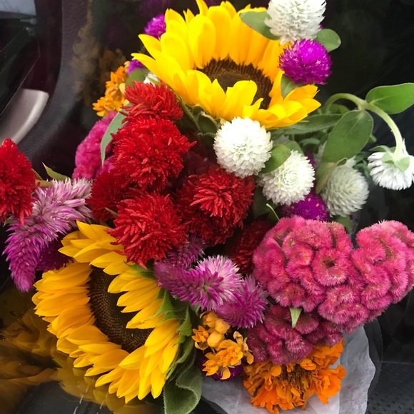 Meet your Posher, Fela - Picture 1 of 1